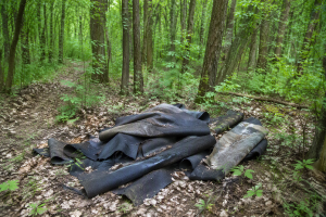 Abgelegte Dachpappen im Wald